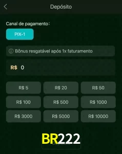 deposits BR222